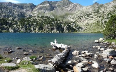 Bonjour à tous, cette année les cours se terminent le 21 juin, en effet je pars le 23 juin pour Hendaye afin de parcourir le GR10 en direction de Banyuls. Un grand périple où je souhaite relier l’ouest à l’est, la terre au ciel en toute humilité, une grande randonnée intérieure… vous pourrez suivre ce périple sur l’actualité du site. MERCI Bises Thierry