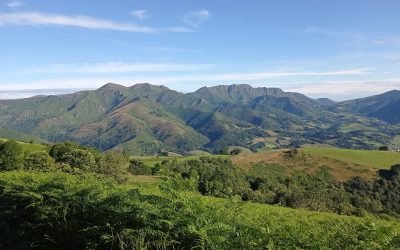 Bonjour à tous, déjà une semaine que j’ai quitté Hendaye sous une pluie battante manière de tester ma motivation. Je me dirige vers le Béarn et ses montagnes. Les vieux arbres sont toujours présents et m’accompagnent sur mon périple, les gâteaux basques aussi 😉bises…