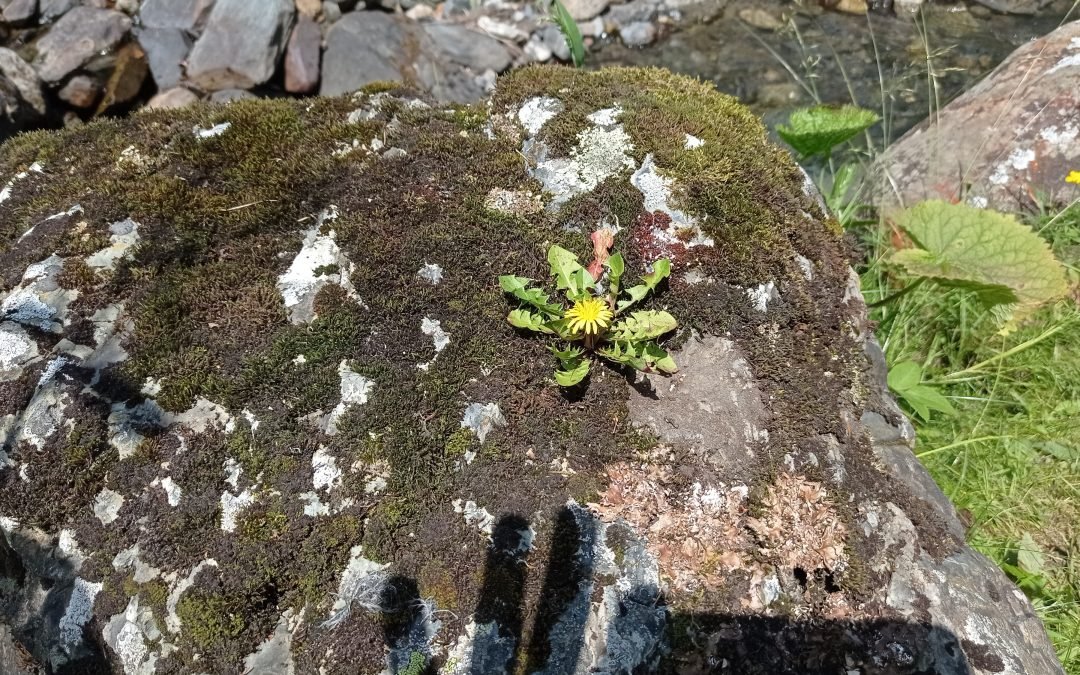 “La Vie n’est parfois pas où on l’attend…” Bises Thierry