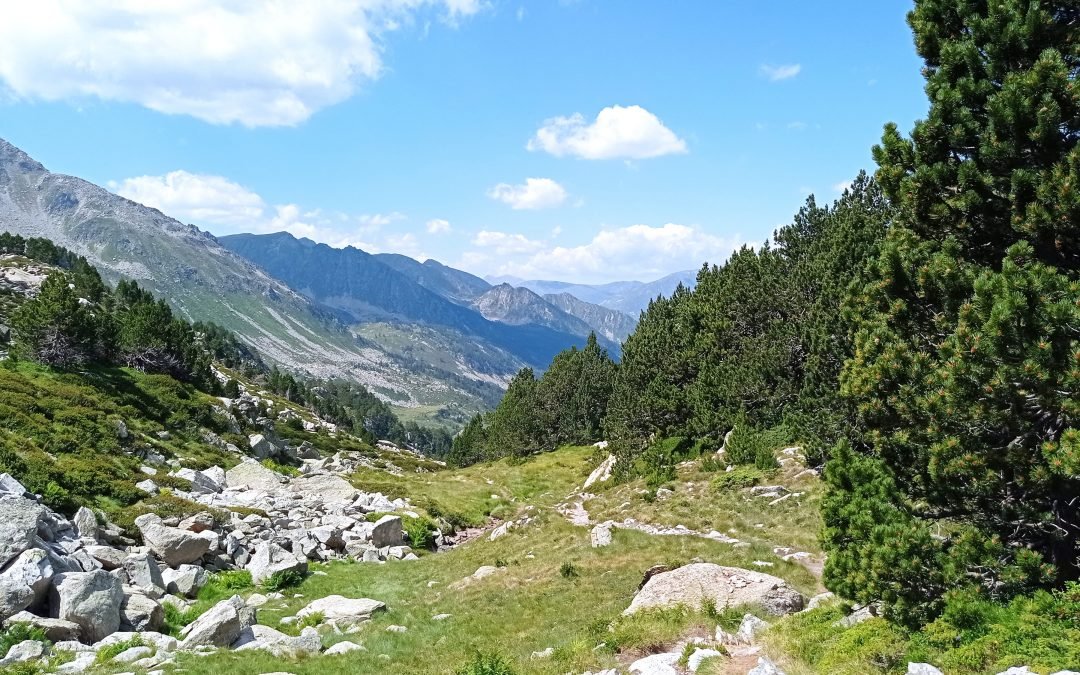 L’écoute extérieure durant la marche, entendre tous les bruits : Le vent qui fait vibrer le moindre espace, la puissance des torrents, la source qui murmure, la symphonie des cloches des vaches, chevaux, brebis, les insectes tournoyant dans l’espace, les grillons répétant leurs mantras, les oiseaux qui saluent mon passage, mes pas sur les rochers et les feuilles des sous-bois, un avion qui passe, des bonjours de randonneurs etc… Puis quelques fois  LE SILENCE… ( à suivre.)