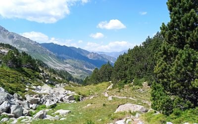 L’écoute extérieure durant la marche, entendre tous les bruits : Le vent qui fait vibrer le moindre espace, la puissance des torrents, la source qui murmure, la symphonie des cloches des vaches, chevaux, brebis, les insectes tournoyant dans l’espace, les grillons répétant leurs mantras, les oiseaux qui saluent mon passage, mes pas sur les rochers et les feuilles des sous-bois, un avion qui passe, des bonjours de randonneurs etc… Puis quelques fois  LE SILENCE… ( à suivre.)