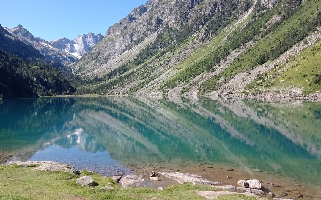 Quand tu t’es accordé cet instant de Silence d’Amour, comme tu l’as vécu, tu peux le retrouver et les éléments extérieurs n’auront plus d’impacts, d’influences, qu’importe le vent ou autres, tu te rapproches de la contemplation, tu ne fais plus qu’un, l’Unité. Assis le paysage, la fleur, l’arbre, l’animal que tu contemples te remplissent de joie, de bonheur, d’Amour. La sensation que nous sommes des poussières d’étoiles remplies de Vie et que nous ne faisons qu’Un avec le Tout… Thierry