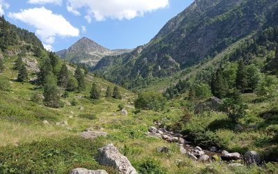 La Marche : au départ comme un métronome rythmé par chaque pas, j’avance sur le sentier de la grande randonnée, mes pas feutrés dans le moelleux des feuilles, les fougères s’inclinent lors de mon passage. L’eau de la source a caressé le minéral, les racines, les végétaux et s’est chargée de Vie. Les hêtres associés aux rochers, à la mousse, aux lichens, orientés vers le soleil se remplissent d’Energie et la partage. Le sens de la Vie, le métronome de la Vie, la marche, le rythme naturel de l’humain… (à suivre)