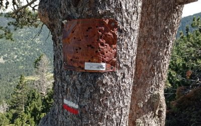 La Nature finit toujours par effacer les traces humaines…bises Thierry