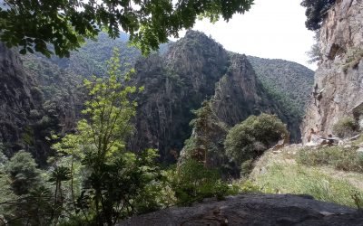 Bonjour à tous, la réserve de Nyer : gorges sauvages minérales, forêts, faunes, flores, la réserve naturelle de Nyer est un endroit d’une richesse extraordinaire. Le vieux projet de route pour rejoindre Mantet démarré avant la première guerre mondiale, nous amène dans le minéral chaotique où la ribera Mentet a creusé la roche durant des millénaires. La piste s’arrête au détour d’un petit tunnel et nous permet de faire la visite dans l’autre sens et de revivre une expérience minérale… Bises Thierry