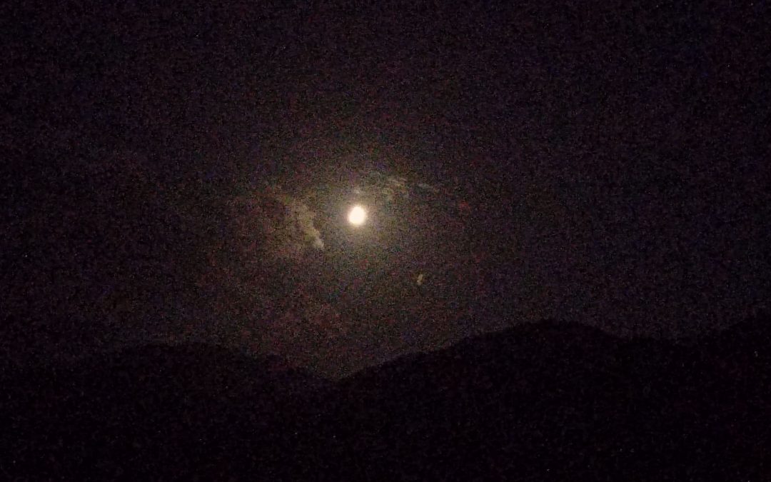 La nuit des étoiles (1) : Pour la soirée du 13 août, je me suis proposé une randonnée dans l’immensité de l’univers. Les étoiles filantes traçaient leurs filaments de lumière. La voie lactée, cette bande blanche étincelante brillait de mille feux avec ses 200 à 400 milliards d’étoiles. La terre n’est qu’une poussière et nous êtres humains encore infiniment plus petits. Dans l’humain se trouve un vrai cosmos, peuplé d’êtres vivants sur notre peau, de virus, de bactéries, d’eau, d’atomes etc… (à suivre)