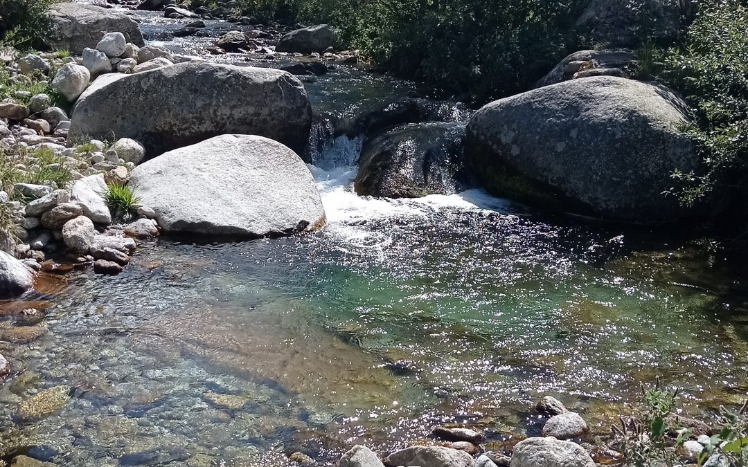 L’eau : de la source à la mer, de la mer à la source elle prend des formes multiples et se transforme à chaque instant. Elle se maquille de gouttelettes en cristaux de glace, de mer en nuage, de pluie en source. Ce cycle de vie démarre peut être de la source où cette eau limpide après avoir pris la forme des rochers tourbillonne de mille éclats tel un vortex. Elle se mélange à d’autres torrents et se dirige vers l’océan. Ce périple ressemble aux rivières énergétiques de notre corps, les Nādīs qui quand elles se rencontrent forment un tourbillon, les chakras. La Source serait le cœur, Essence de Vie où s’écoule le nectar de Vie en direction de l’océan de Sagesse…Quel beau voyage, la Vie… Bises Thierry