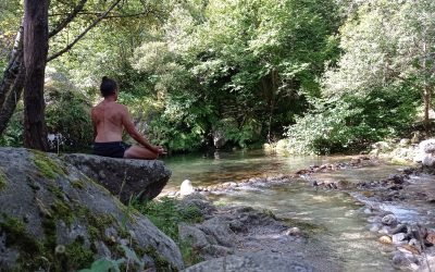 Pris par les tourbillons des émotions, assieds-toi, concentres toi sur ce qui est le plus facile pour toi… La Respiration (le souffle de la Vie), le Cœur (le rythme de la Vie), le corps et sa détente (le véhicule de la Vie)……. Et sens cette Vie en toi, autour de toi………. A quoi donnons nous la priorité! Aux émotions ou à la Vie?……Thierry