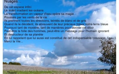 NUAGES : De cet espace infini, Le soleil irradiant les océans,La transformation en vapeur d’eau opère sa magie, Poussés par les vents de la vie, Ils prennent toutes les directions, teintés de blanc et de gris, Quand ils le décident, ils abreuvent de leur précieux trésor notre terre bleue, Pourquoi tant de mystère, tant de manières pour donner cet élixir, Peut-être la folie des hommes, peut-être un message pour l’humain ignorant, Et destructeur de sa planète, En lui rappelant que lui aussi est constitué de cet indispensable breuvage, l’eau! Merci la Vie… Thierry