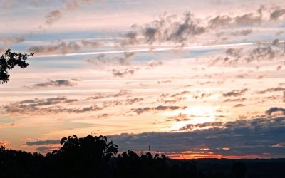 Les cours sont assurés la première semaine des vacances scolaires (du 21 au 25 février) pas de cours la deuxième semaine reprise le lundi 7 mars, merci à vous amicalement Thierry