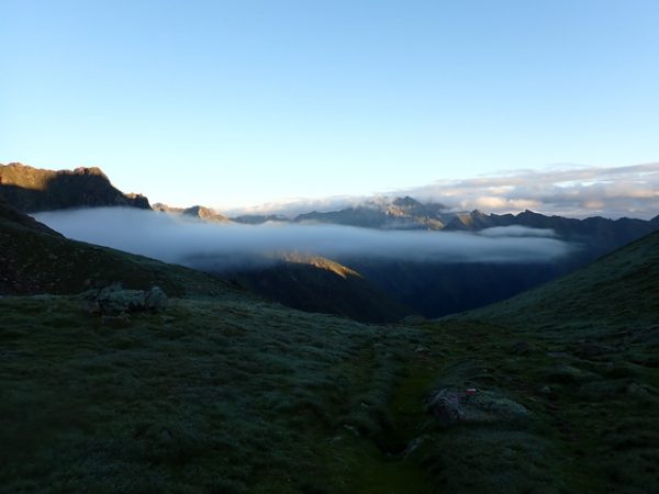 Brume matinale