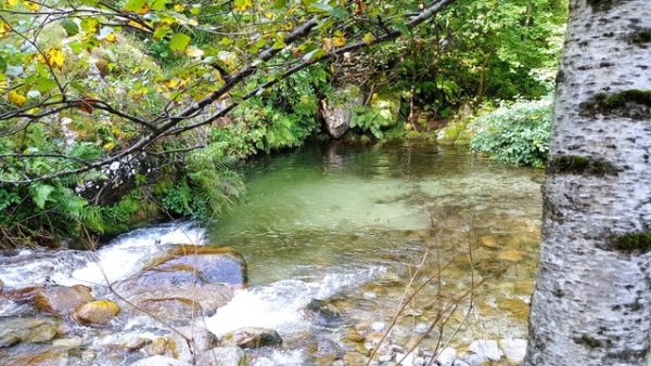 Nature