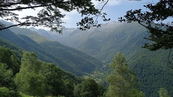 Pays de l'ours
