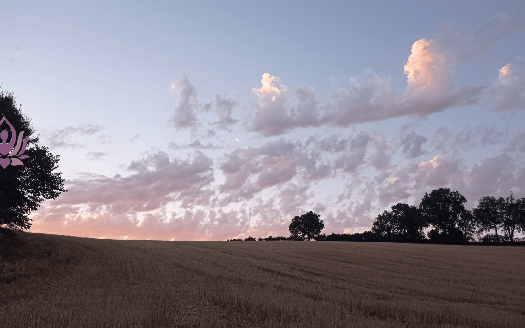Soirée YOGA le lundi 11 juillet 2O22