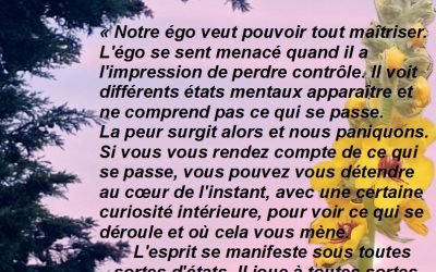 Petite réflexion sur l’égo…