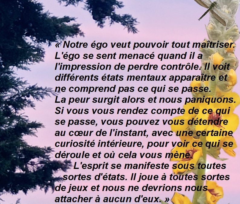 Petite réflexion sur l’égo…