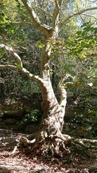 Infos Yoga vacances Toussaint