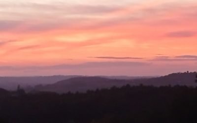 Infos Yoga vacances de Toussaint 2024