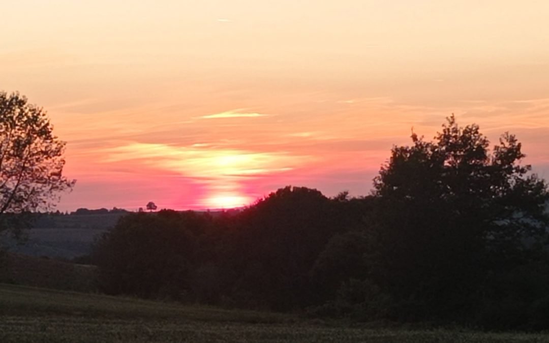 Stage YOGA 7 et 8 juin 2025